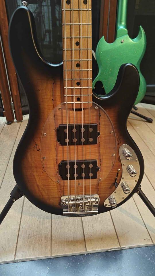 Sterling stingray ray 34 Spalted Maple